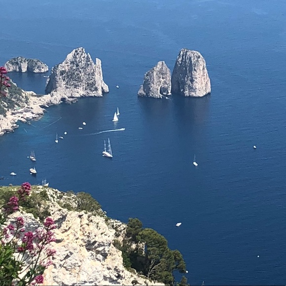 Happy Poshing! - Picture 4 of 13